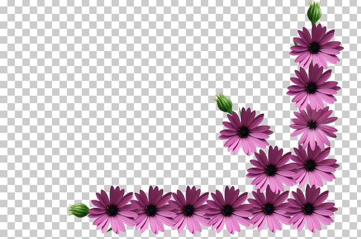 Information PNG, Clipart, Aster, Chrysanths, Clip Art, Color, Computer Software Free PNG Download
