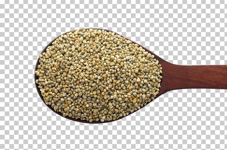 Pearl Millet Finger Millet Foxtail Millet Panicum Sumatrense PNG, Clipart, Bean, Cereal, Commodity, Finger Millet, Food Free PNG Download