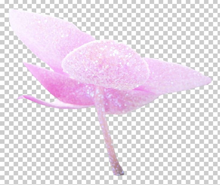 Pink M PNG, Clipart, Dream, Flower, Miscellaneous, Others, Petal Free PNG Download