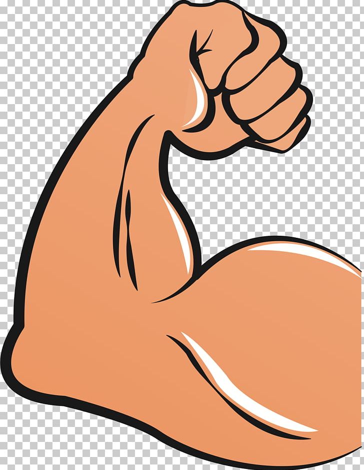 Biceps Arm Muscle PNG, Clipart, Area, Arm, Artwork, Biceps, Clip Art Free PNG Download