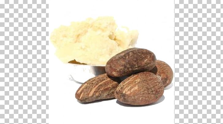 Shea Butter Vitellaria Nut Butters PNG, Clipart, Butters, Nut, Shea Butter, Vitellaria Free PNG Download