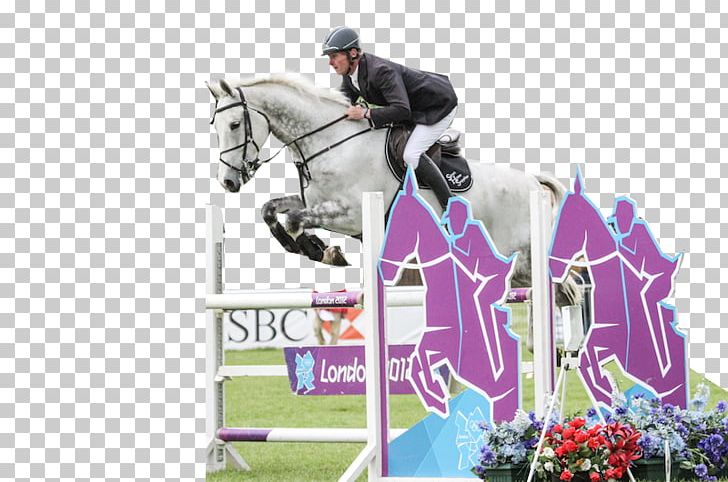 Show Jumping Stallion Hunt Seat Horse Eventing PNG, Clipart, Bridle, Competition, Crosscountry Equestrianism, Cross Country Equestrianism, English Riding Free PNG Download