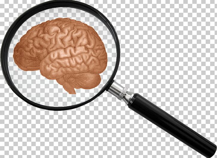 The Human Body: The Brain Magnifying Glass PNG, Clipart, Brain, Central Nervous System, Glass, Graphic Design, Human Brain Free PNG Download