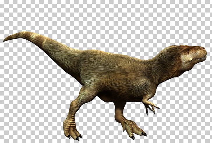 Tyrannosaurus Albertosaurus Tarbosaurus Megalosaurus Guanlong PNG, Clipart, Albertosaurus, Allosaurus, Dinosaur, Fantasy, Fauna Free PNG Download