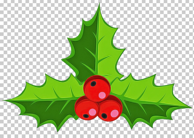 Mistletoe PNG, Clipart, American Holly, Branch, Common Holly, Grape Leaves, Holly Free PNG Download