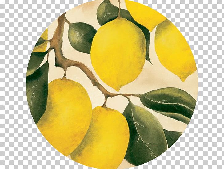 Lemon Citron Orchard Fruit PNG, Clipart, Art, Citron, Citrus, Drawing, Food Free PNG Download