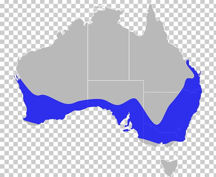 Northern Territory Perth Australian Capital Territory Map PNG, Clipart, Area, Australia, Australian Capital Territory, Distribution, Map Free PNG Download
