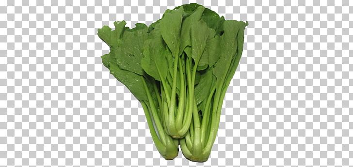 Romaine Lettuce Choy Sum Chinese Broccoli Spring Greens Komatsuna PNG, Clipart, 250 Gram, Bok Choy, Cabbage, Capitata Group, Chard Free PNG Download