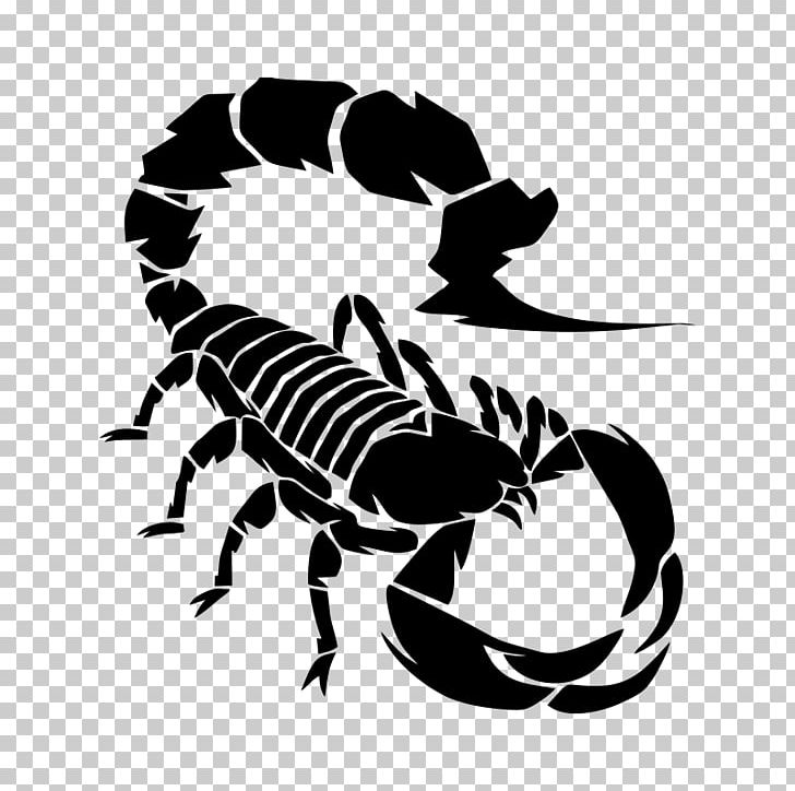 Scorpion Drawing PNG, Clipart, Arachnid, Black And White, Black Scorpion, Fotosearch, Insect Free PNG Download