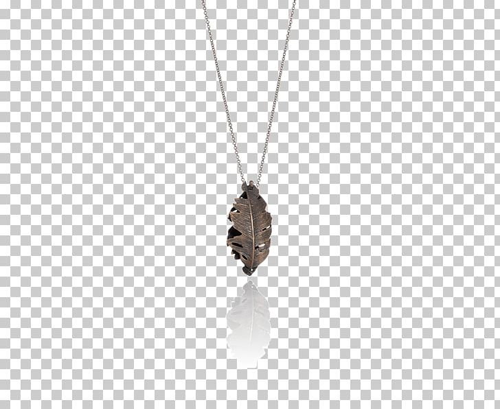 Locket Necklace Chain Aurum By Guðbjörg Jewellery PNG, Clipart, Chain, Delicate, Fashion, Fashion Accessory, Iceland Free PNG Download