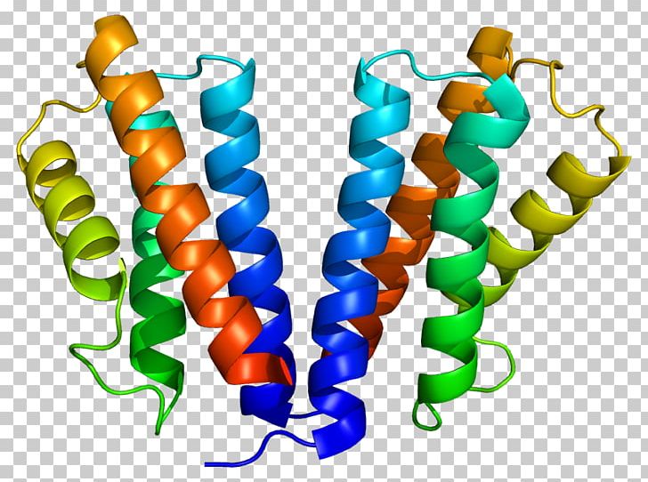 Signal Transducing Adaptor Protein Vesicle Vacuolar Protein Sorting Protein Complex PNG, Clipart, Body Jewelry, Cell, Inner, Line, Miscellaneous Free PNG Download