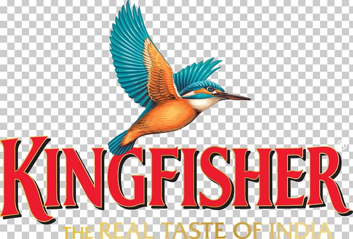 Beer In India United Breweries Group Kingfisher Logo PNG, Clipart, Advertising, Beak, Beer, Beer In India, Bird Free PNG Download