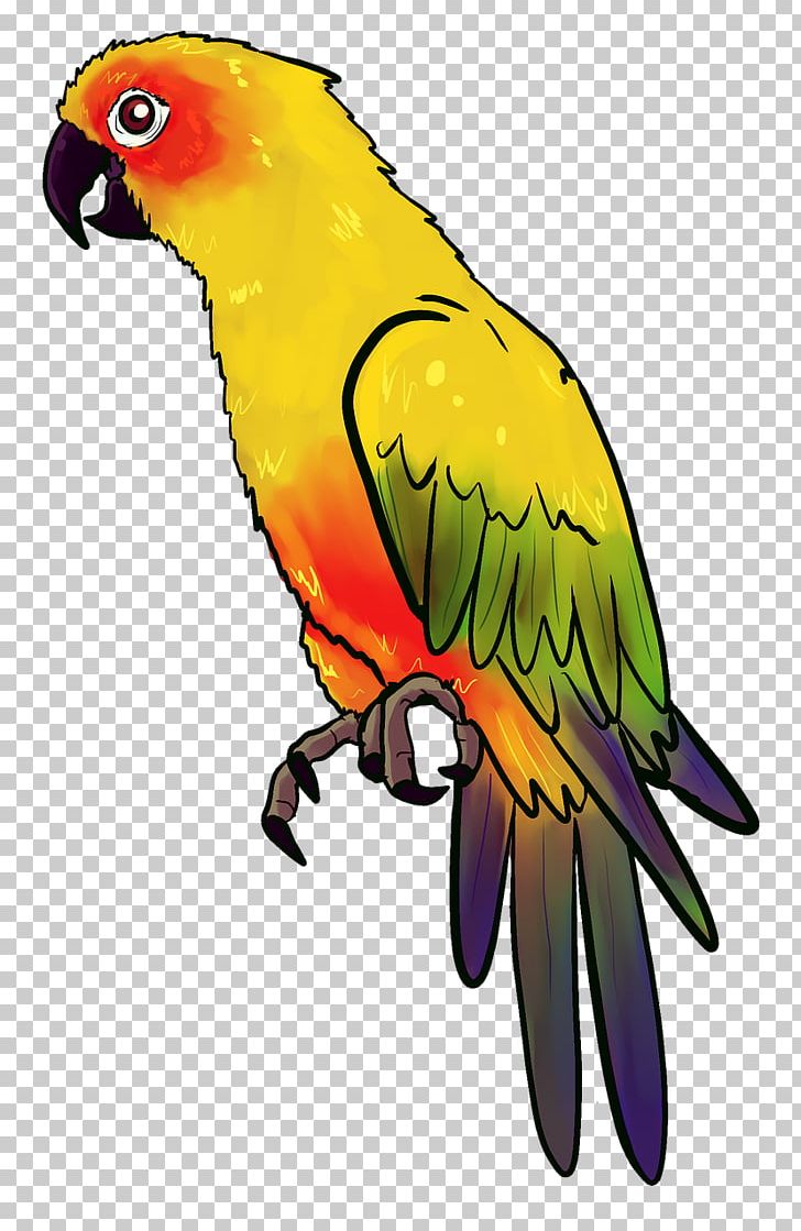 Bird Parrot Illustration PNG, Clipart, Animal, Animals, Beak, Bird, Birds Free PNG Download