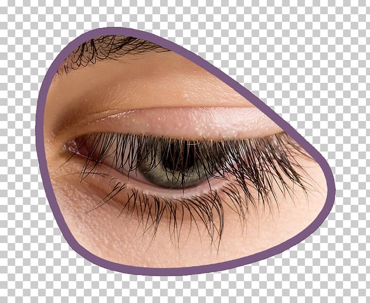 Eyebrow Eyelash Eye Shadow Hair PNG, Clipart, Artificial Hair Integrations, Body Hair, Closeup, Cosmetics, Eye Free PNG Download