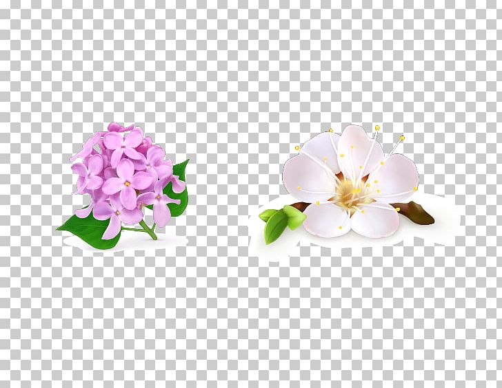 Flower Drawing Floral Design PNG, Clipart, Encapsulated Postscript, Floristry, Flower Arranging, Flowers, Fruit Nut Free PNG Download