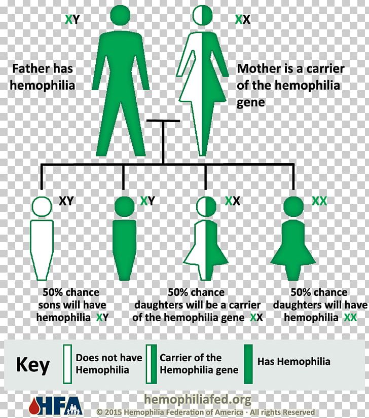 Haemophilia A Genetic Disorder Haemophilia B Coagulopathy PNG, Clipart, Angle, Area, Bleeding, Blood, Brand Free PNG Download