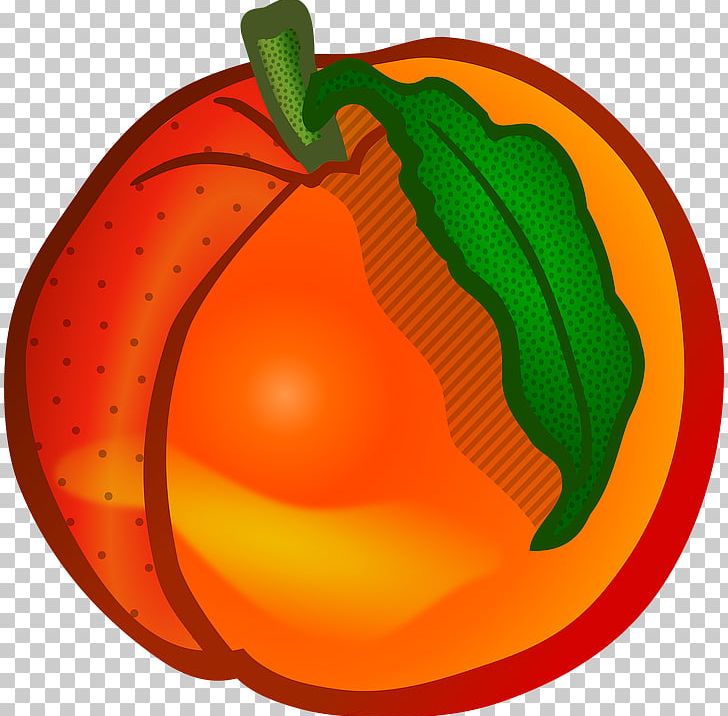 Peach Open Graphics Juice PNG, Clipart, Apple, Bell Peppers And Chili Peppers, Calabaza, Circle, Cucumber Gourd And Melon Family Free PNG Download