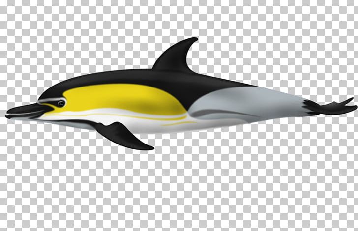 Short-beaked Common Dolphin Tucuxi White-beaked Dolphin Porpoise Common Bottlenose Dolphin PNG, Clipart, Animals, Automotive Design, Beaked Whale, Bottlenose Dolphin, Fin Free PNG Download