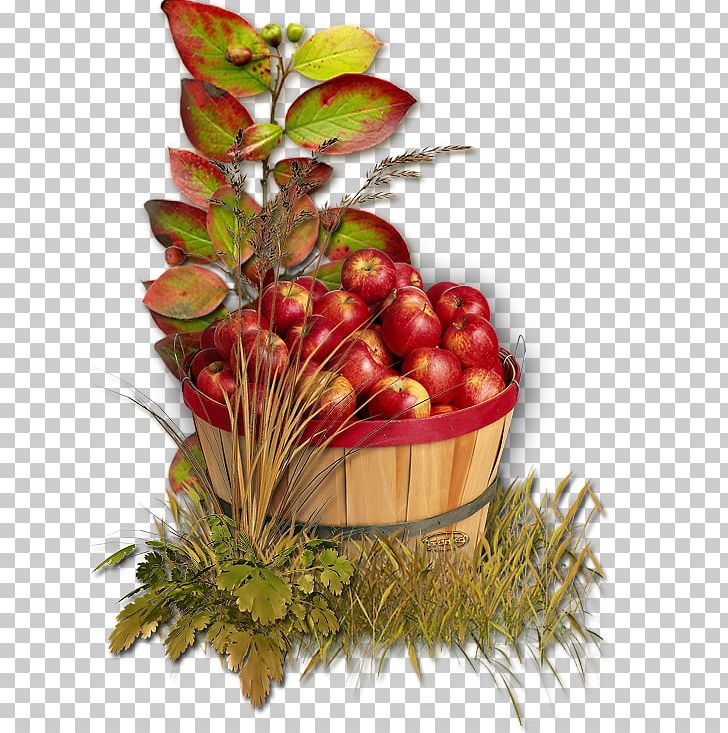 Apple Autumn PNG, Clipart, Apple, Auglis, Autumn, Data, Diet Food Free PNG Download