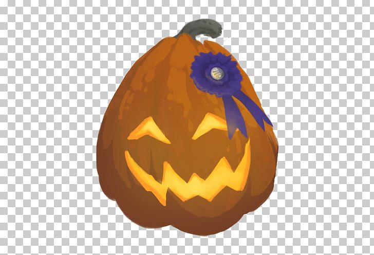 Jack-o'-lantern Calabaza Winter Squash Pumpkin Gourd PNG, Clipart,  Free PNG Download