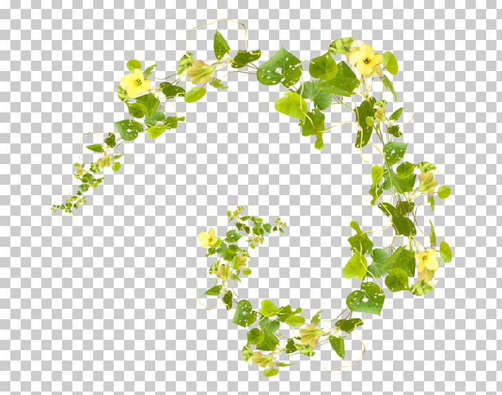 Leaf PNG, Clipart, Branch, Cicek, Cicek Resimleri, Flora, Floral Design Free PNG Download