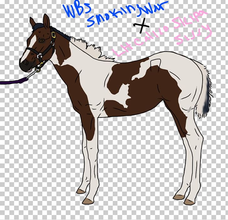 Mule Foal Stallion Mustang Colt PNG, Clipart, Bridle, Colt, Foal, Halter, Horse Free PNG Download