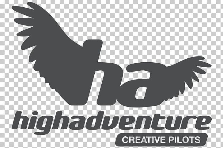 Paragliding High Adventure Wanaka Parachute PNG, Clipart, Adventure, Beak, Bird, Bird Of Prey, Black And White Free PNG Download