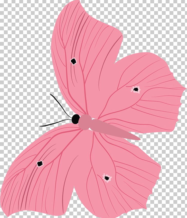 Butterfly Petal Malvales PNG, Clipart, Butterfly, Flower, Flowering Plant, Insect, Insects Free PNG Download