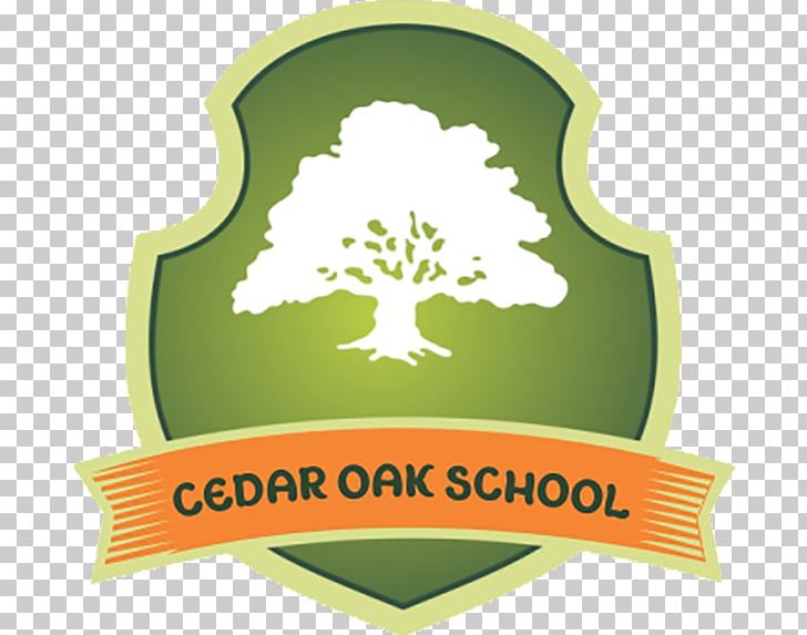 Cedar Oak School Gingins Child Business Learning PNG, Clipart, Brand, Business, Child, Cricket, Food Free PNG Download
