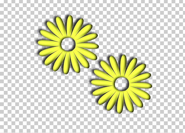 Common Sunflower Daisy Family Chrysanthemum Oxeye Daisy PNG, Clipart, Chrysanthemum, Chrysanths, Circle, Common Daisy, Common Sunflower Free PNG Download