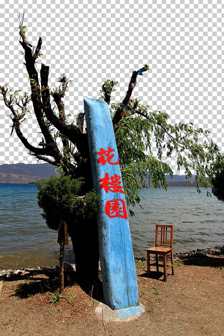 Lugu Lake West Lake Longjing Tea PNG, Clipart, Attractions, Data, Fig, Flower, Flowers Free PNG Download