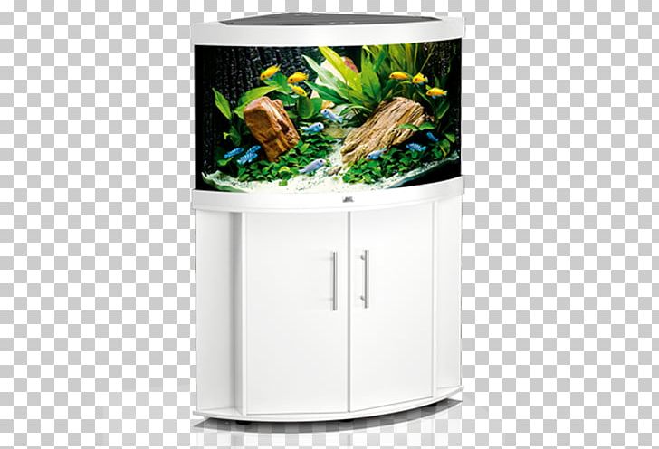 Aquarium Eheim White Fishkeeping Hellweg PNG, Clipart, Aquarium, Bitxi, Color, Eheim, Fishkeeping Free PNG Download