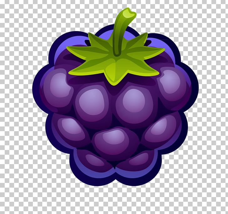 Blueberry Fruit PNG, Clipart, Berry, Bilberry, Blueberry, Computer Icons, Flowering Plant Free PNG Download