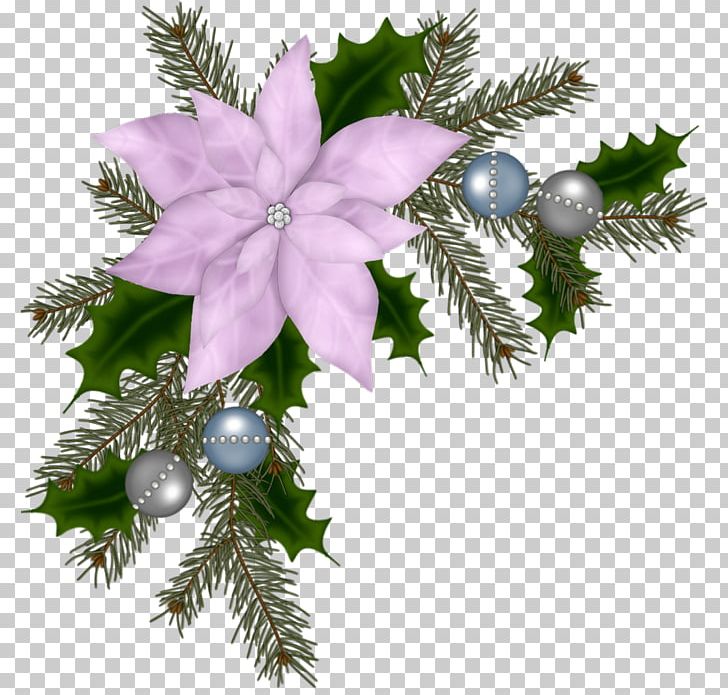 Christmas Ornament Santa Claus Poinsettia Christmas Decoration PNG, Clipart, Advent, Advent Sunday, Border, Branch, Christmas Free PNG Download
