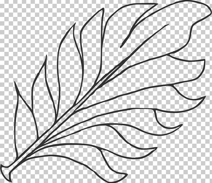 Leaf Line Art. PNG, Clipart, Artwork, Black And White, Branch, Drawing, Flora Free PNG Download