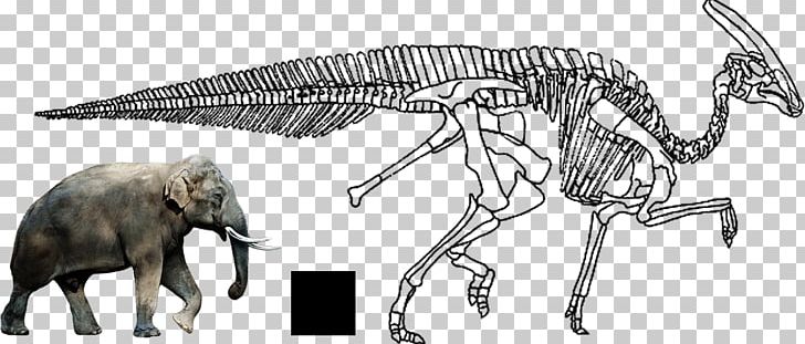 African Elephant Charonosaurus Indian Elephant Tyrannosaurus Ankylosaurus PNG, Clipart, Animal Figure, Ankylosaurus, Artwork, Carnivoran, Charonosaurus Free PNG Download