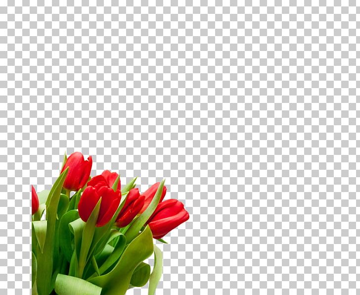 Flower Bouquet Tulip Desktop Cut Flowers PNG, Clipart, Computer Icons, Cut Flowers, Desktop Wallpaper, Floral Design, Floristry Free PNG Download