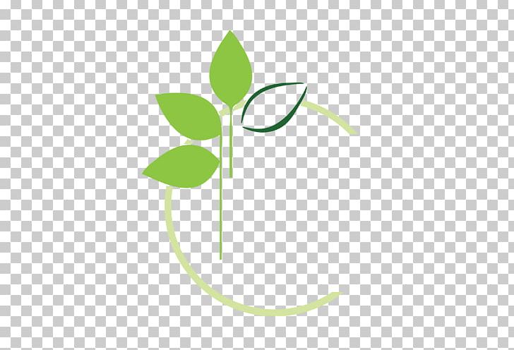 Leaf Logo Brand Font PNG, Clipart, Brand, Flora, Flower, Grass, Green Free PNG Download