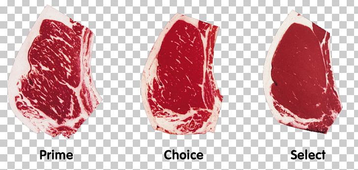Barbecue Cattle Asado Beef Meat PNG, Clipart, Animal Source Foods, Asado, Barbecue, Beef, Beef Ribs Free PNG Download