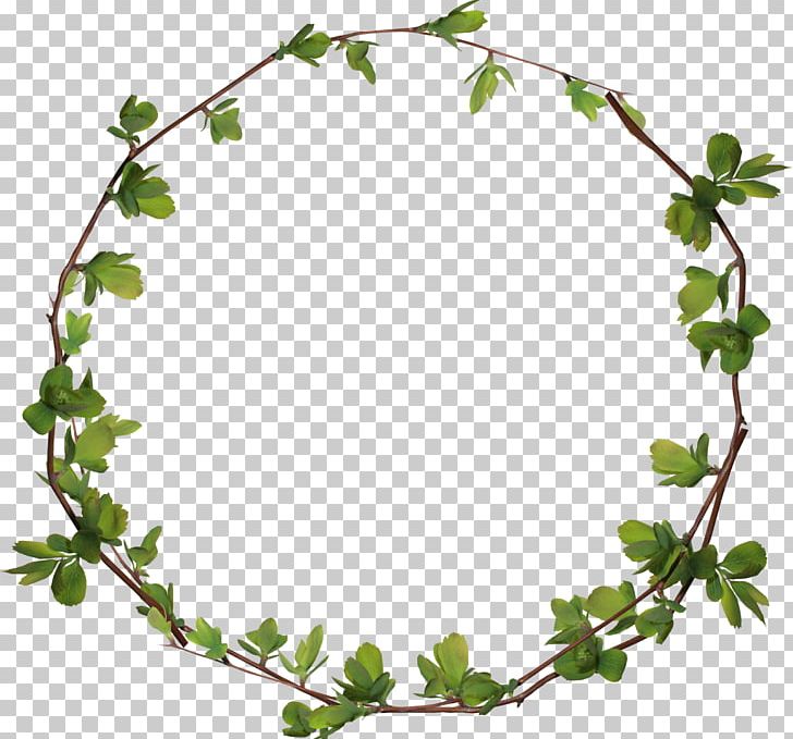 Circle PNG, Clipart, Autumn Leaves, Banana Leaves, Blog, Branch, Branches Free PNG Download