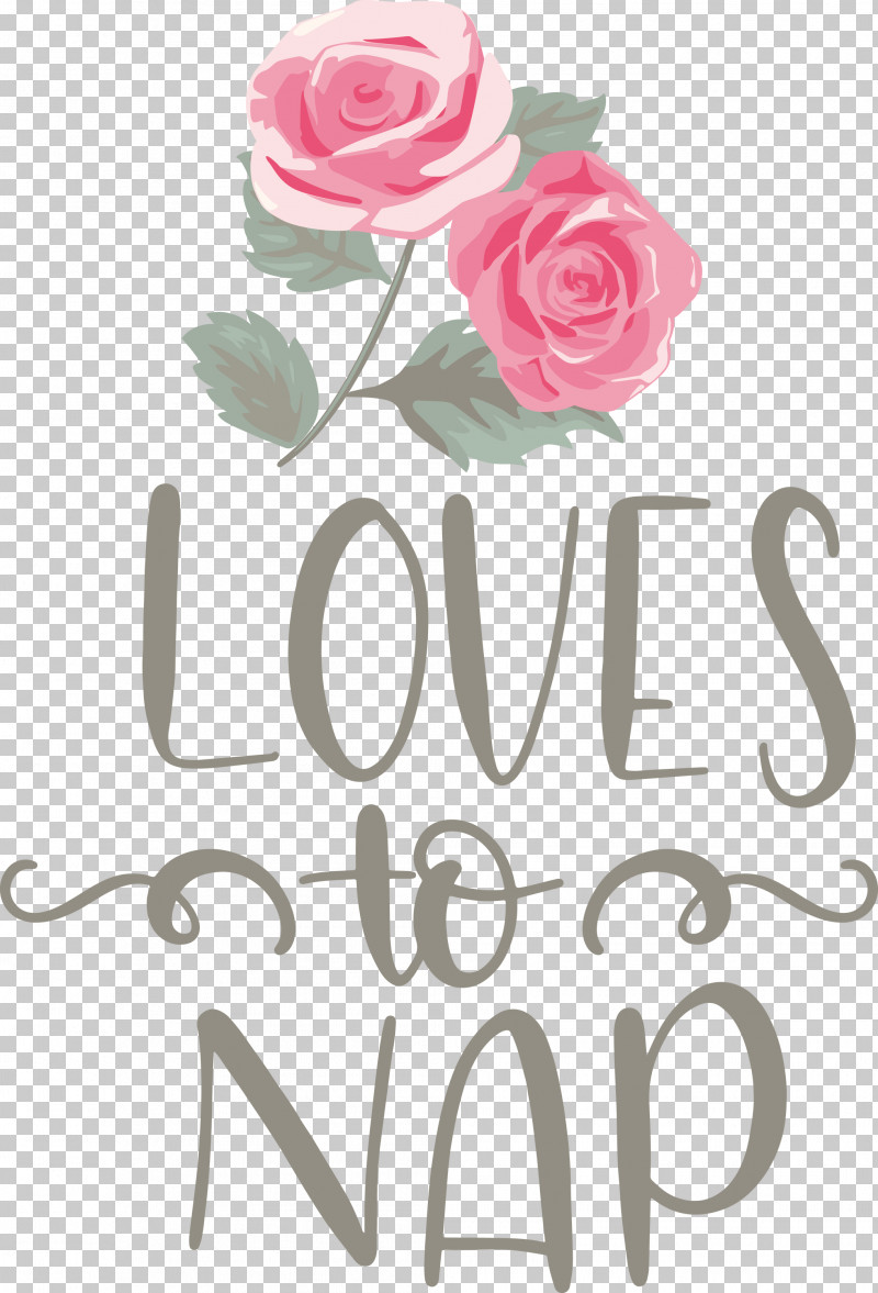 Loves To Nap PNG, Clipart, Cut Flowers, Floral Design, Garden Roses, Petal, Rose Free PNG Download