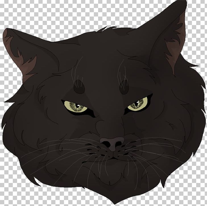 Bombay Cat Black Cat Korat Kitten Domestic Short-haired Cat PNG, Clipart, Animals, Black, Black Cat, Black M, Bombay Free PNG Download