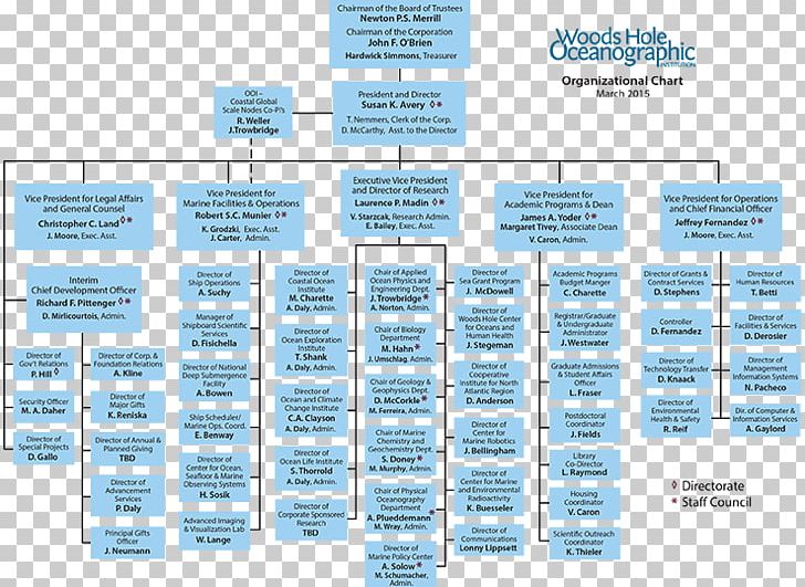 Organizational Chart Non-profit Organisation Organizational Structure Business PNG, Clipart, Board Of Directors, Chart, Company, Diagram, Information Free PNG Download