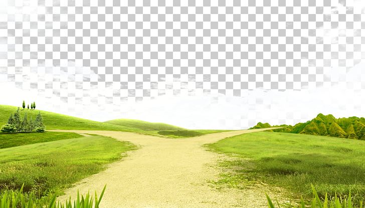 Poster PNG, Clipart, Computer Wallpaper, Decorative Patterns, Energy, Field, Fundal Free PNG Download