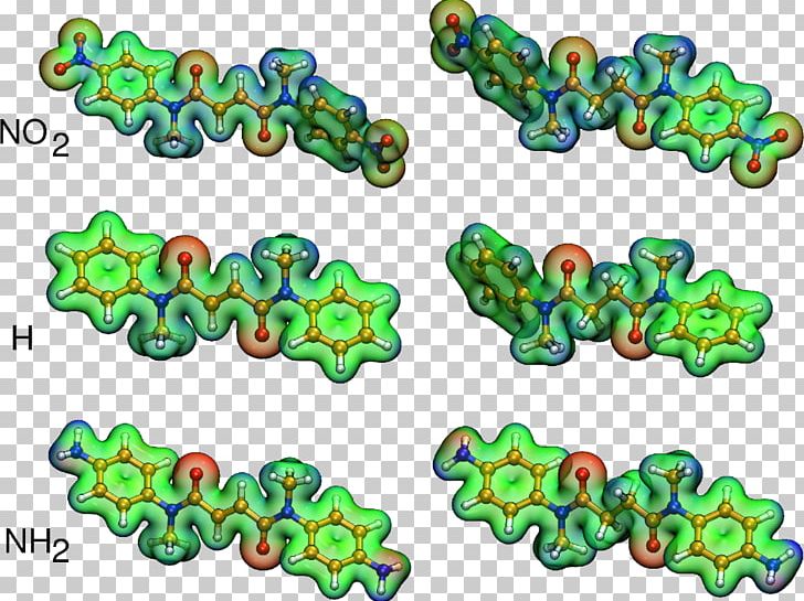 Bead Organism Line Body Jewellery PNG, Clipart, Art, Bead, Body Jewellery, Body Jewelry, Jewellery Free PNG Download