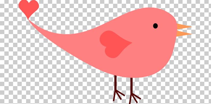 Bird Pink PNG, Clipart, Beak, Bird, Bird Flight, Blog, Cute Bird Clipart Free PNG Download