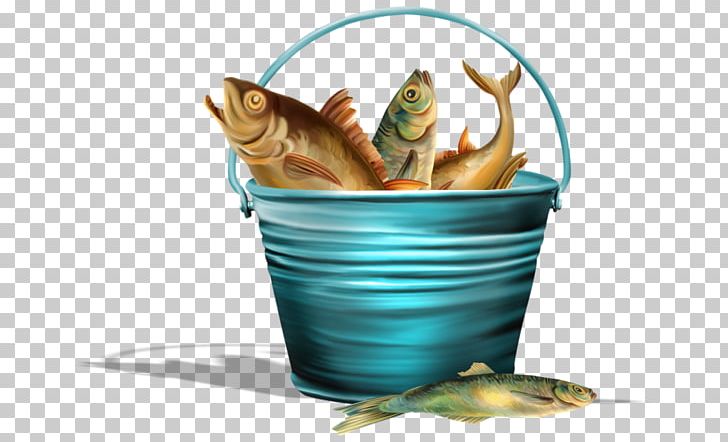 Live Fish Transparent Bucket Fishing Stock Photo 2318899577