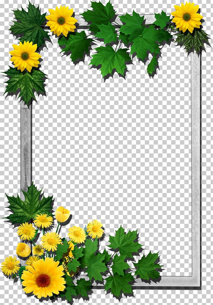 Frames Flower PNG, Clipart, Annual Plant, Chamaemelum Nobile, Chrysanths, Cut Flowers, Daisy Free PNG Download