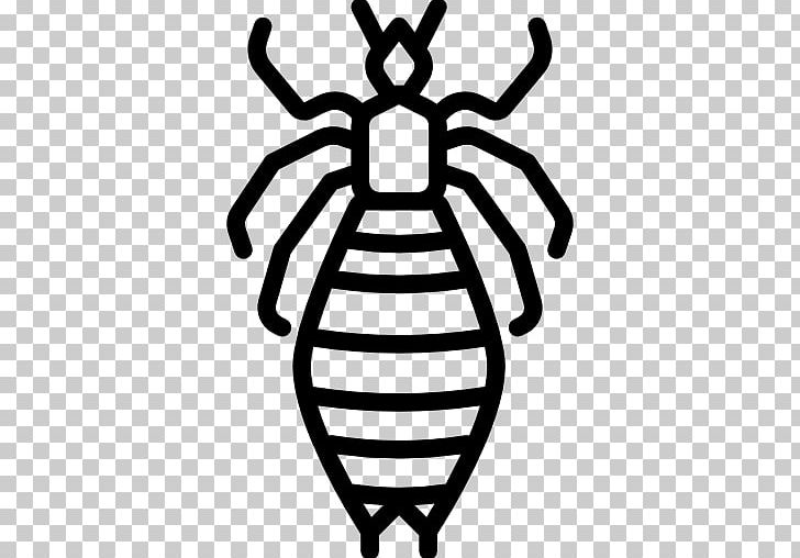 Louse Liendre Head Lice Infestation Pediculosis Animation PNG, Clipart, Animal, Animation, Artwork, Black And White, Cartoon Free PNG Download