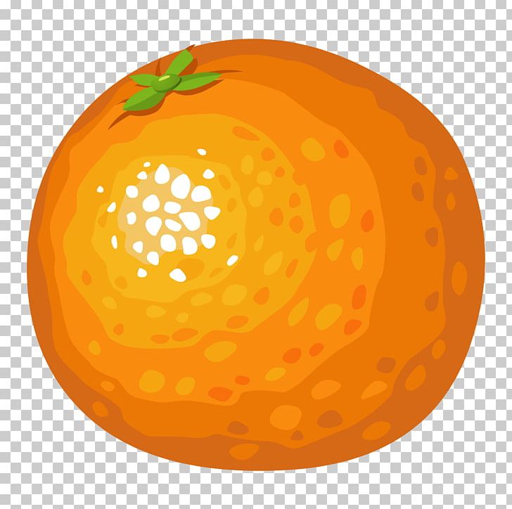 Orange PNG, Clipart, Blog, Circle, Computer Icons, Download, Drawing Free PNG Download